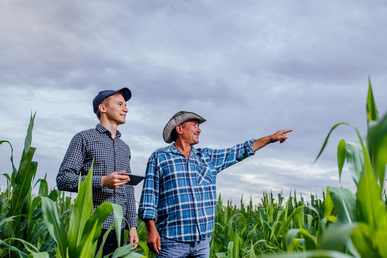 Older farmer and young farmer discussing the future of their cornfield, representing farm succession planning issues in Ohio.